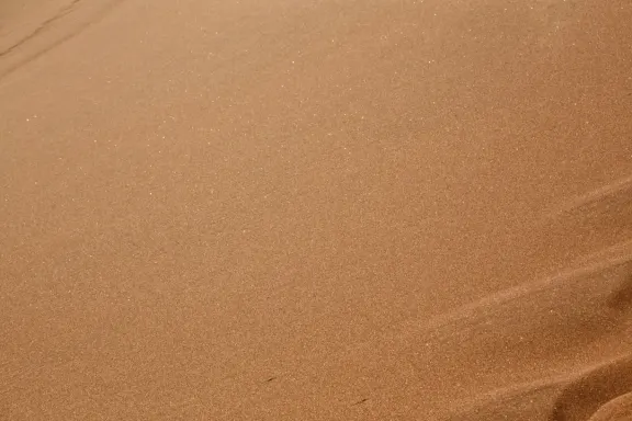 Casino Bingo Millionaire Podrška